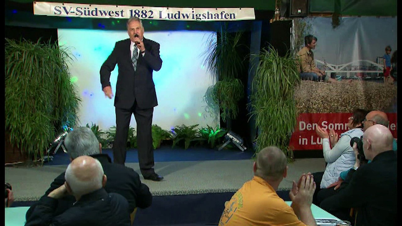 Rudi Falk - Nicht mehr lang allein