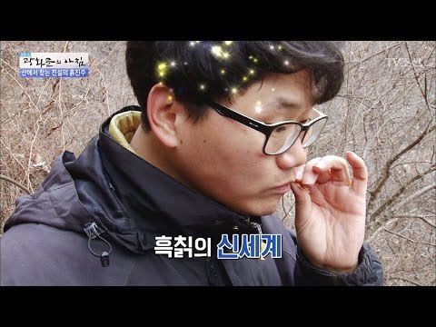 흙칡의 신세계! 그 맛은? [광화문의 아침] 432회 20170302