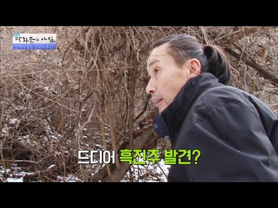 높은 산 속에 흑진주가 숨어있다?! [광화문의 아침] 432회 20170302