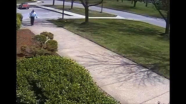 Quand une oie attaque un policier !