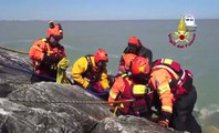 Rimini - barca a vela contro scogliera per maltempo: 4 morti
