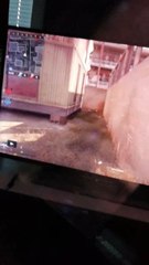 VID-20170419-WA0019[1]