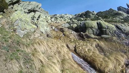 Me la pela_cut.La monarquia se ha instalado en la cabeza de algunos