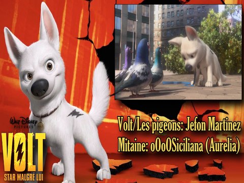 【FANDUB】► Aurelia & Jefon Martinez .° |[Volt, star malgré lui]| °. ▪ Rencontre avec les pigeons et Mitaine ▪ .