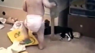 Funny Clip - Baby and pets 2