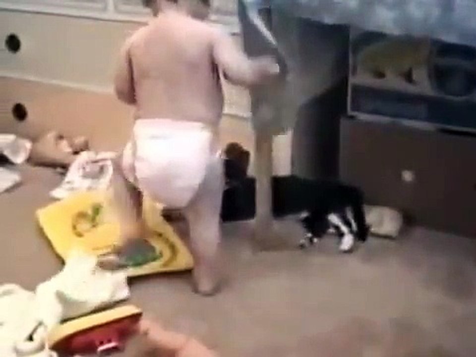 Funny Clip - Baby and pets 2