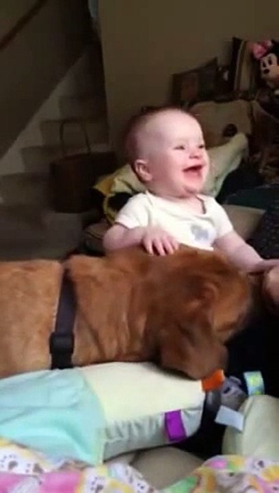 Funny Clip - Dog makes baby laugh hysterically