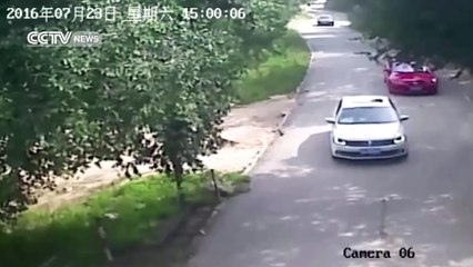 [MP4 1080p] Footage shows shocking tiger attack in Beijing's wildlife park