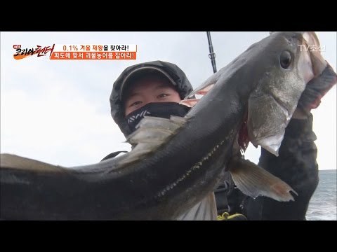 히트다 히트! 낚싯대를 부러뜨린 괴물농어! [뉴 코리아 헌터] 39회 20170227