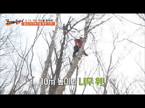 버섯 하나 채취하려고 10m 높이에 맨 몸으로 [뉴 코리아 헌터] 39회 20170227