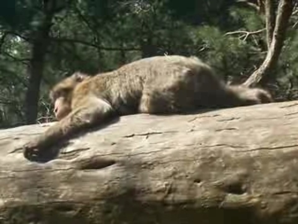 Photorécit les vosges