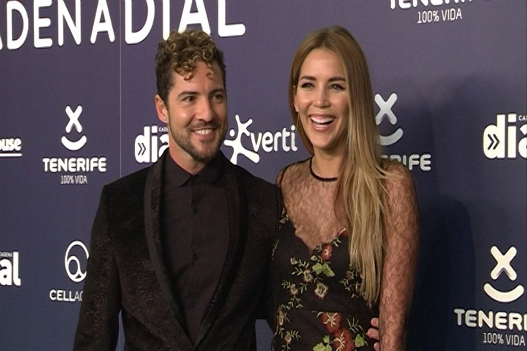 David Bisbal y Rosanna Zanetti... ¿pareja de hecho?