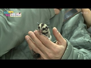 귀여운 다람쥐 덕에 평생의 소원을 성취하게 된 권호 [남남북녀 시즌2] 84회 20170217