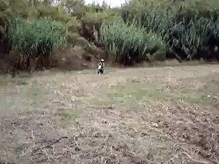 dorian 5 ans premier saut