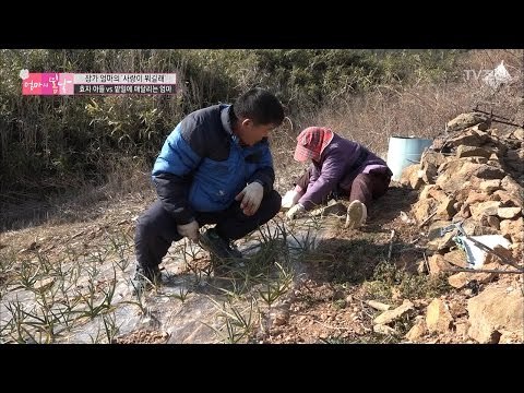 엄마의 효자 둘째아들 등장! [엄마의 봄날] 78회 20170226