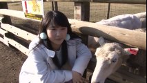 りほりほに つれない羊くん