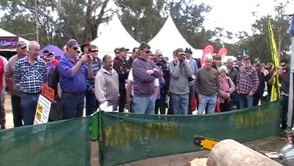 Australian V8 Chainsaw