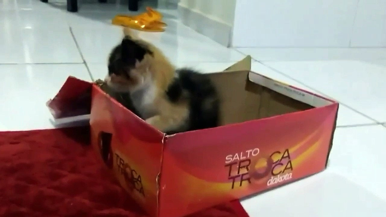 Luna, A Intrusa Do Amor #03 O FIM