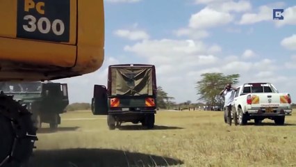 ELEFANTE RIMANE INCASTRATO NEL FANGO E INTERVENGONO CON UNA SCAVATRICE PER SALVARLO