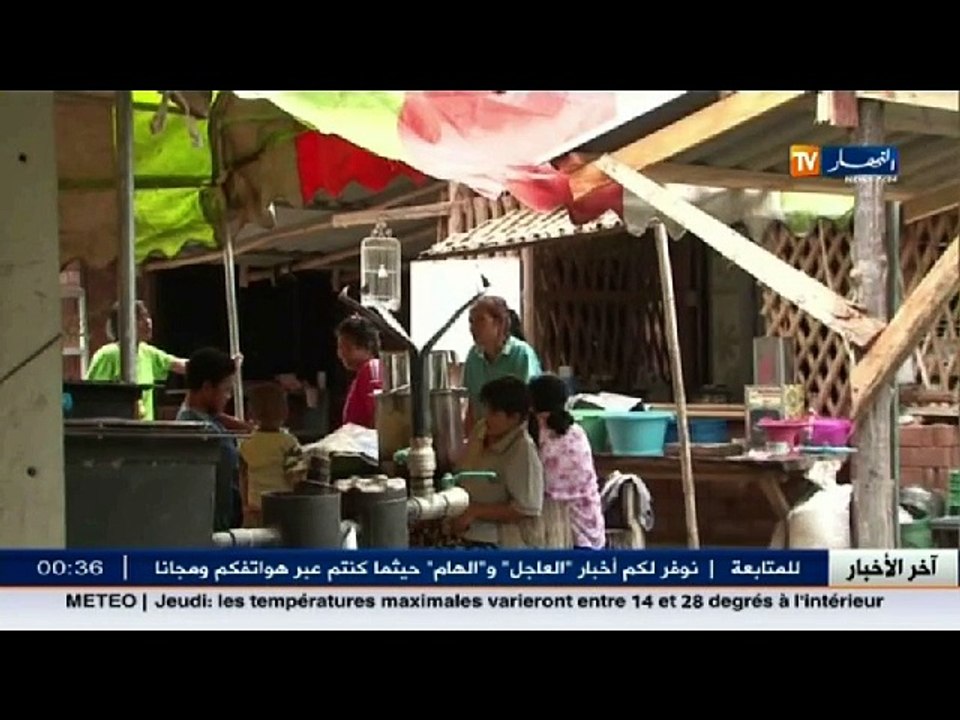 ريبورتاج: روث الحيوانات.. توليد للطاقة البديلة