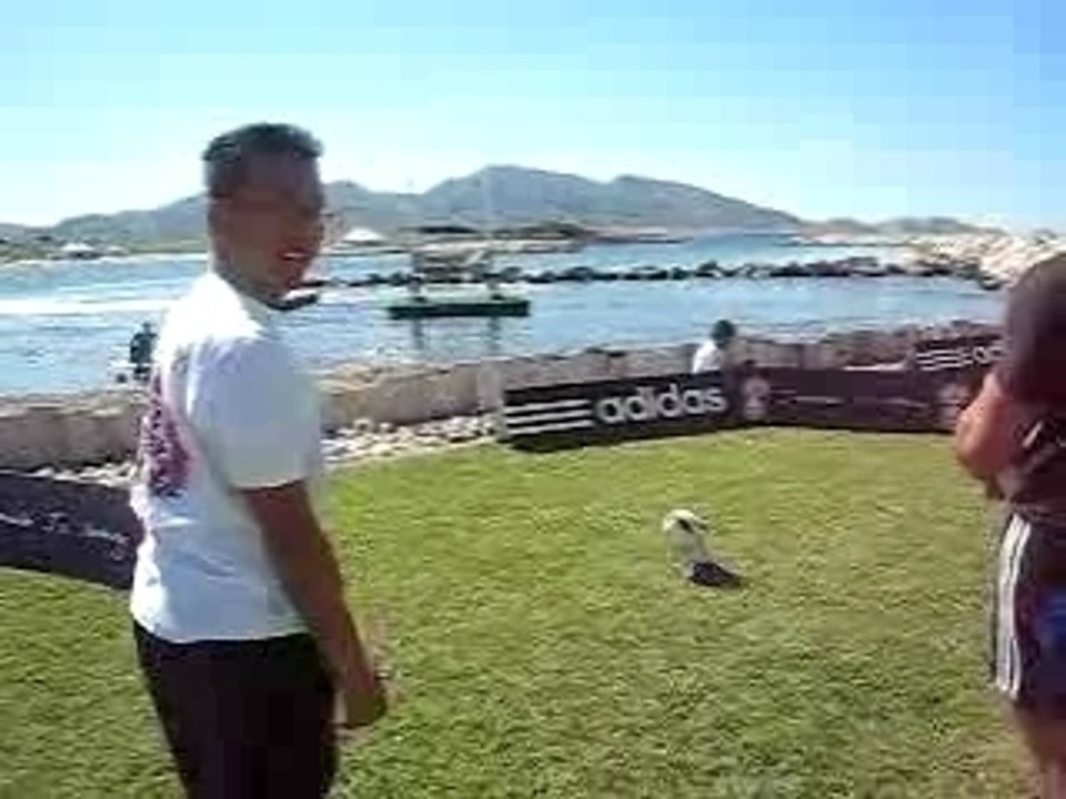 moi (les all blacks c pas pour maintenant lol)