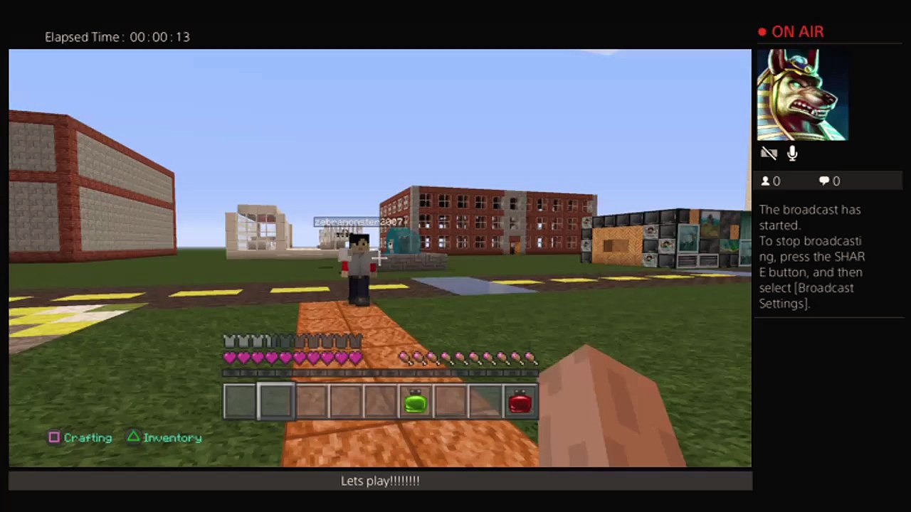 Minecraft rollplay (18)