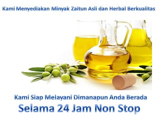 081-657-4300 (Indosat) Jual Minyak Zaitun Nias