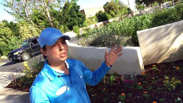 Gardeners Santa Barbara