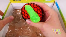 Squishy Balls Busted Broken Learn Colors for Kids-3Fwr