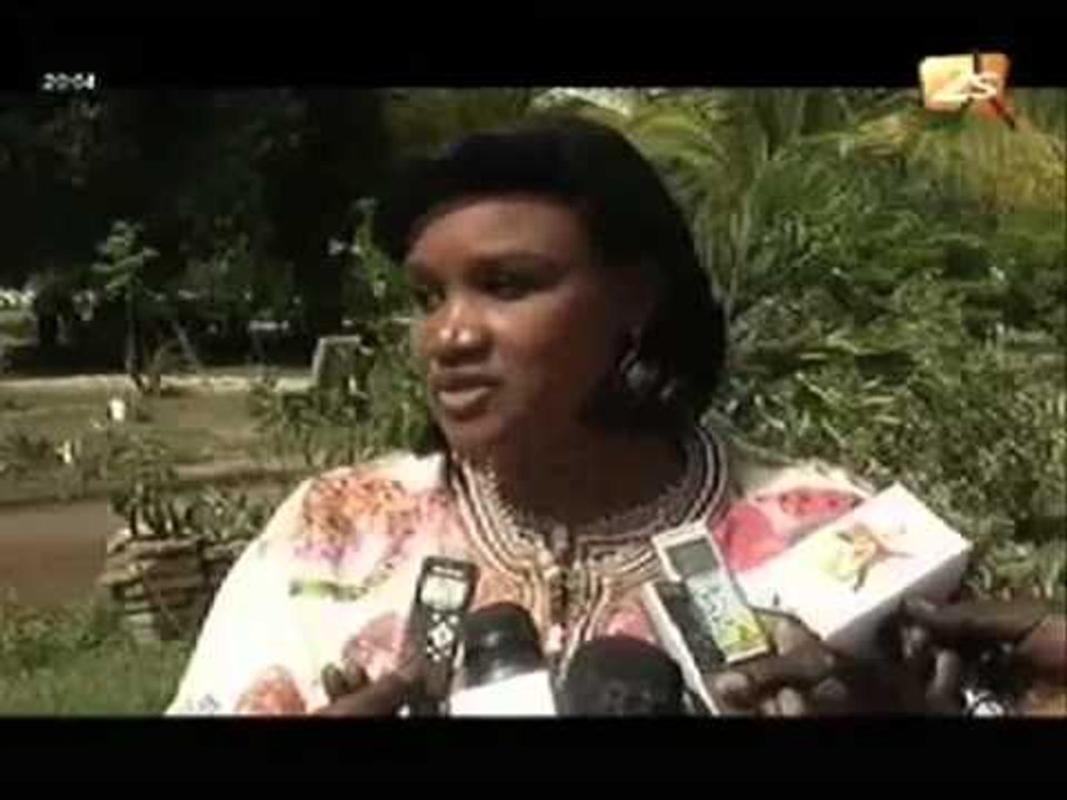 Journée Mondiale de la Lutte Contre L'Hépatite B - JT Français - 28 Juillet 2012