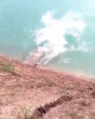 Funny Video #3 The Wierd Dance by Two Sissies