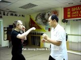 Técnicas de Choy Lee Fut