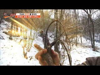 50년이 넘은 흑도라지! [뉴 코리아 헌터] 38회 20170220