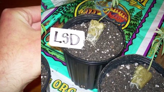 10 Most Expensive Liquids In The World