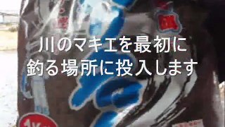 釣具のイヴ　大分川　白ハエ釣り