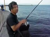 釣具のイヴ　西電横でのアジ釣り