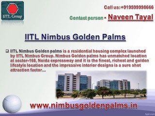 IITL Nimbus Golden Palms