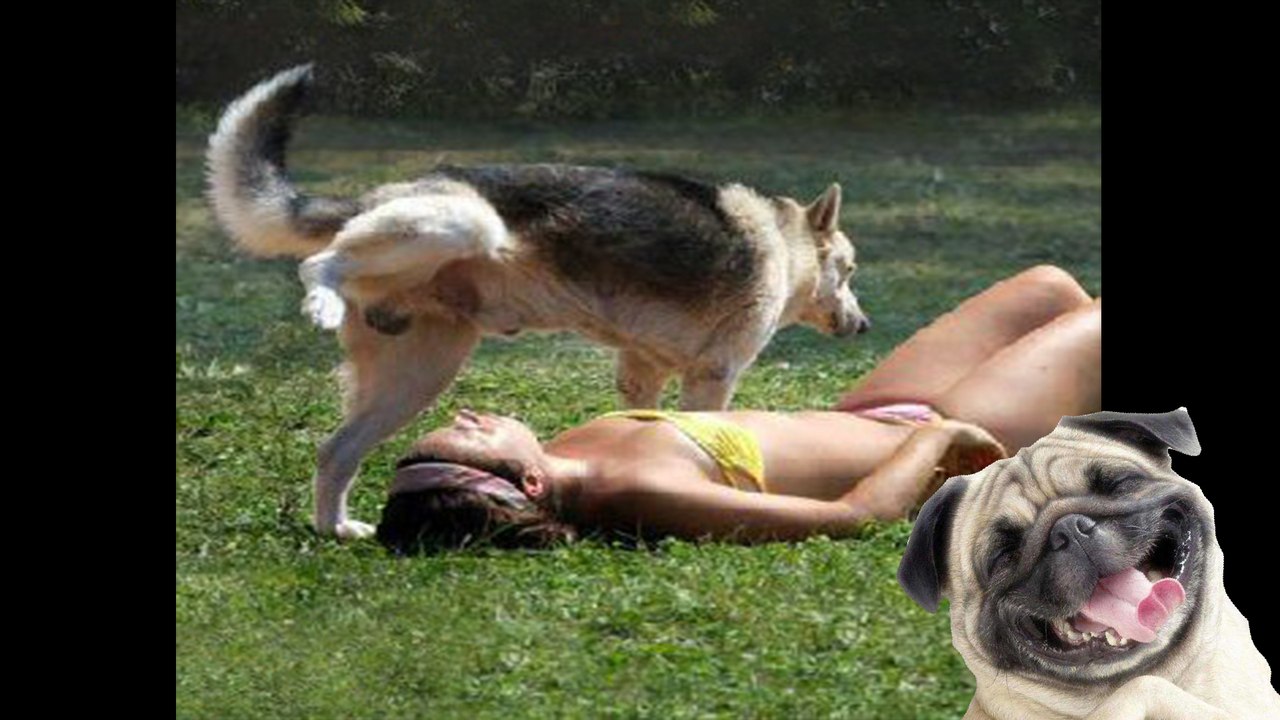 Try not laugh whatsapp videos (IMPOSSIBLE CHALLENGE)-16-(Komik whatsapp videoları)