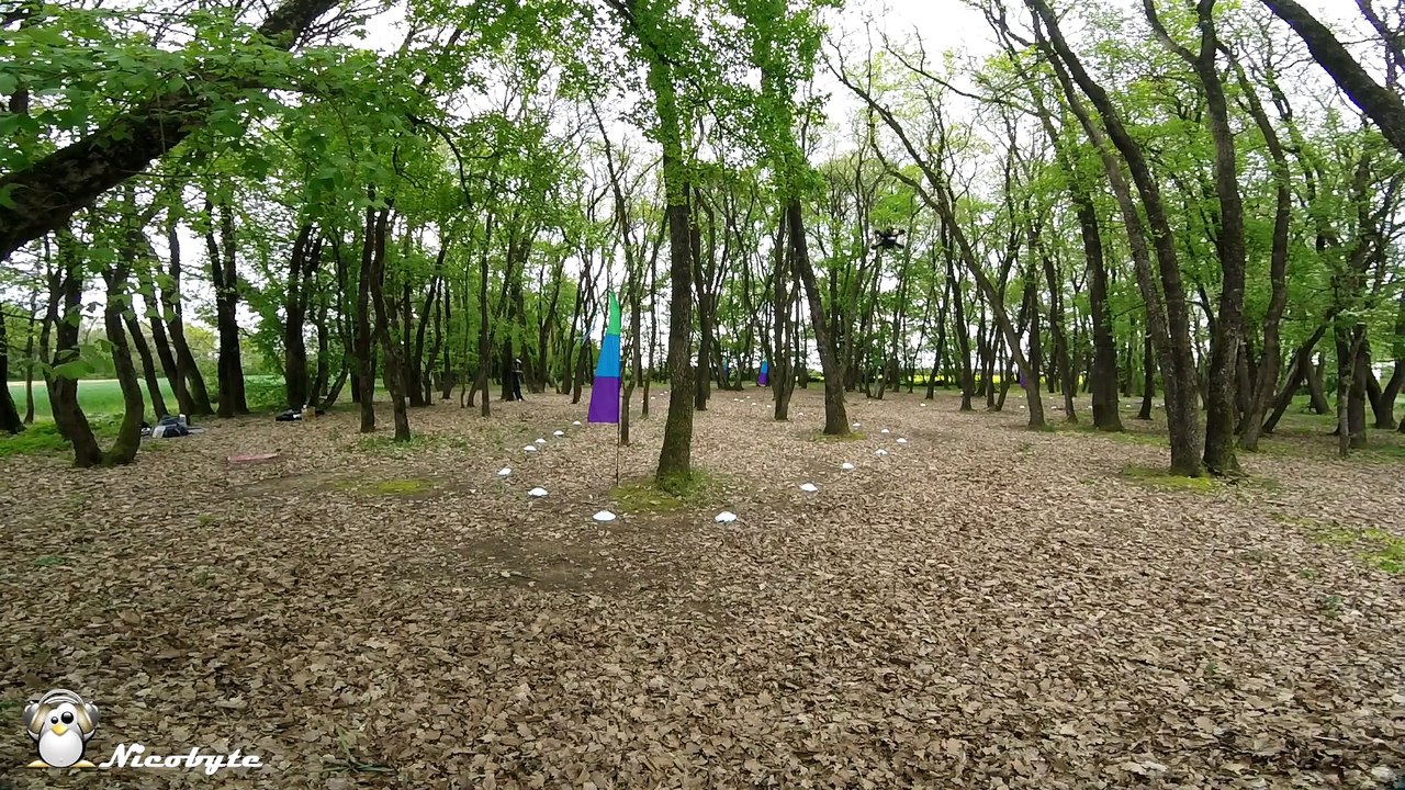 sainte-soulle-15042017