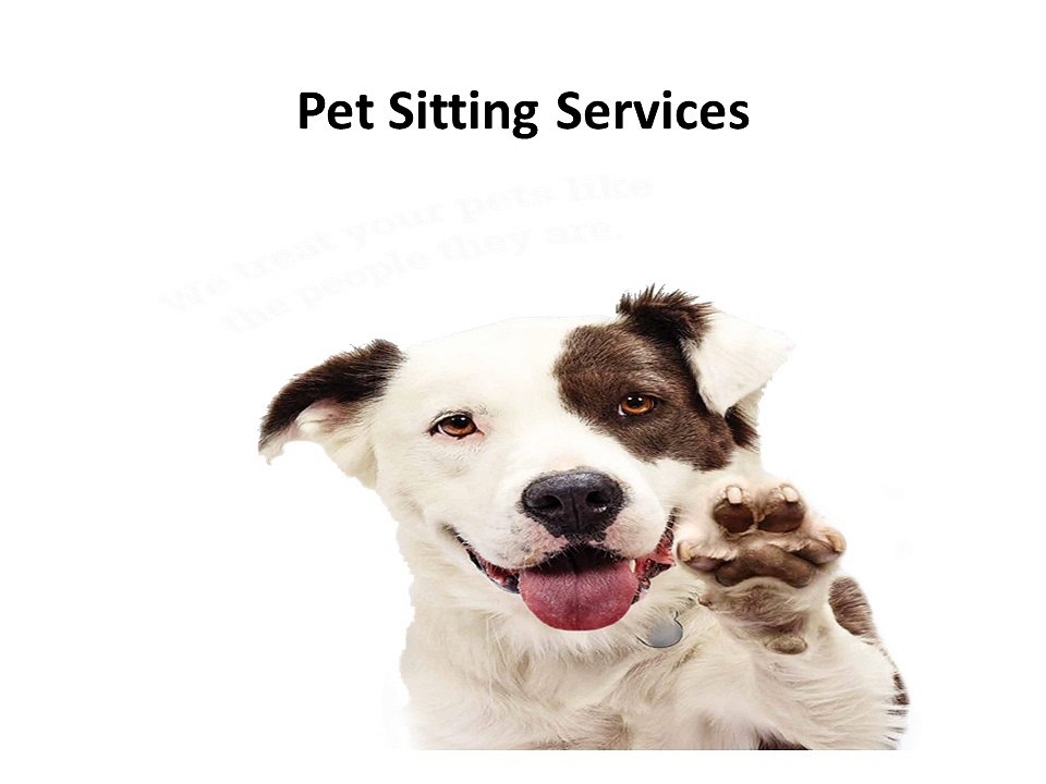 Pet Sitting Services - Personable pet care