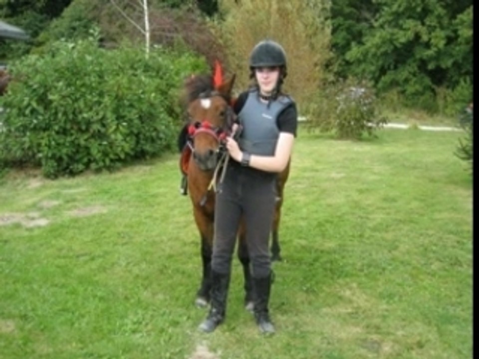 Les chevaux de mon poney club