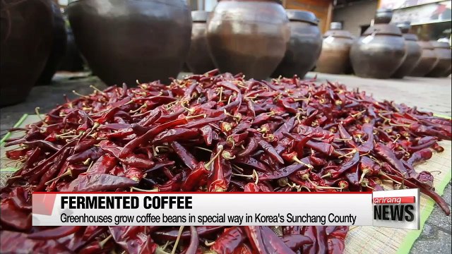 Fermented Sunchang beans about to create new coffee wave