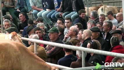 troisième enchère boeufs de pâques 2017