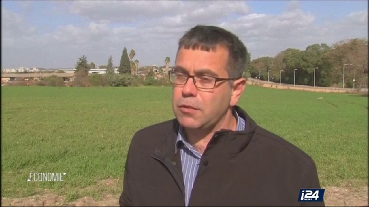 Agriculture : la société israélienne NRGene entend mettre à profit les dernières avancées de la recherche sur le séquençage du génome du blé, pour enrayer le fléau de la malnutrition dans le monde