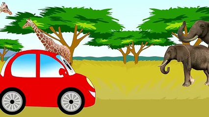 Car for children. Learning Wild Animals for Kids - Teaching Animals Video for Toddlers