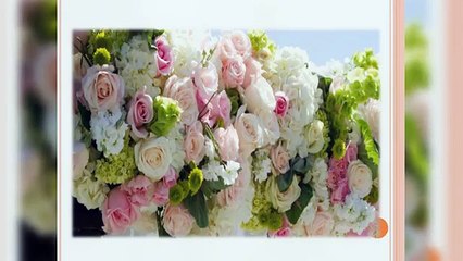 Wholesale Flowers - www.wholeblossoms.com