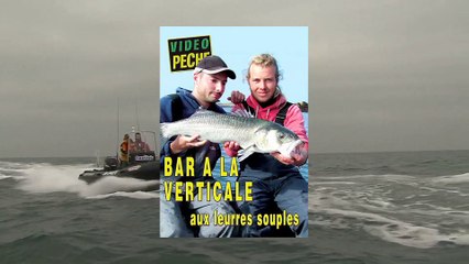 Bar à la verticale aux leures souples