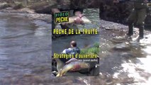 Pêche de la truite