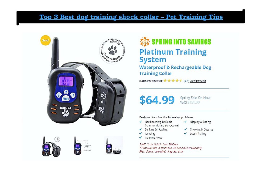 Top 3 Best dog training shock collar - Pet Training Tips