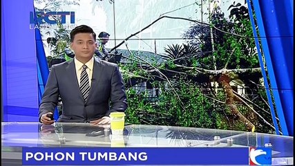 5 Mobil dan Belasan Motor Hancur Tertimpa Pohon Tumbang di Halim
